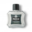 Baume après rasage PRORASO Wood spice 100ml